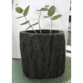 Bark Pot – Plants Depot – Wholesale Plants & Trees Supplier from ...