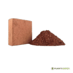 Cocopeat