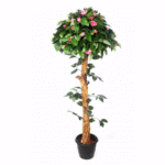 Camelia Plant Topery 'N' Coffe Wood Stick3 Pink