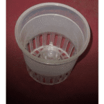 Transparent Orchid Pots (Large)