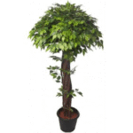 Artificial Mini Ficus Topiary Plant D Green