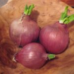 Onion light red