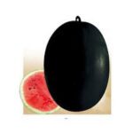 Water Melon F1 Sanya 786