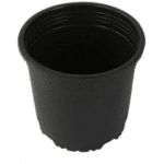 Sunrise Pot 10 cm (4") Black