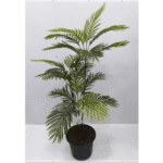 Artificial Plant 2944 - C