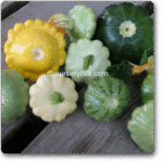 Cabbage Heirloom Savoy Exotic Vegetable Seeds