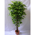 Artificial Ficus Benjamin Plant