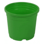 Sunrise Pot 10 cm (4") Apple Green�