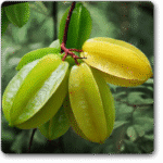 Kamrak- Starfruit�