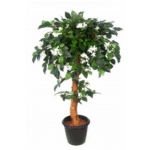 Artificial Jasmine Plant Topiary N.Coffe wood�