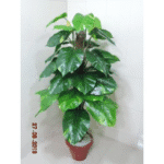 Artificial Plant 1803 D�