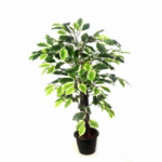 Artificial V.G.Ficus Plant N.Stick