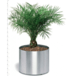 Classic Cylinders Stainless Steel Planters