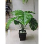 Artificial Plant 1742 E�