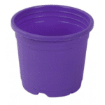 Sunrise Pot 11 cm (4.5") Violet