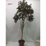 Artificial Plant 2000-S