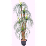 Artificial Rain Grass Tree, w/Palm Skin 5