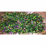 Pink Flower Leaves Tiles for Vertical Garden - Indoor