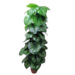 Artificial Plant 1908 D ( Money Plant 5 Ft )