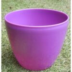 Small Colorful Voilet Daisy Planters