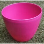 Colorful Pink Daisy Planters