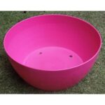 Colorful Pink Flower & Cactus Plants Bowl Planter