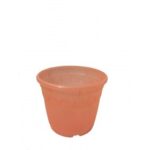 Designer Roma Orange