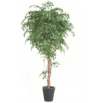 Artificial Plant Ficus Green