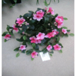 Artificial Hanging Rhododendron Hanging Bush