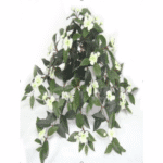 Artificial Impatiens Hanging x 13 W / 204 LVS (White)