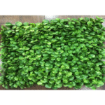 Round Leaves Tiles for Vertical Garden - Outdoor