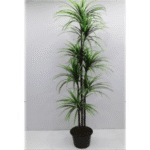 Artificial Plant 2843 - A�