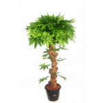 Artificial Maple Plant Topiary Big Lvs N.