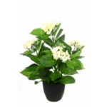 Artificial Hydrangea White 2' With Black Round Pot