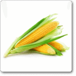 Sweet Corn F1 Hybrid