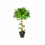 Artificial Pear Plant Topiary N. Coffee Wood 3'