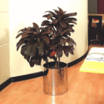 Golden line Stainless steel Planter