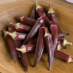 Okra Red Burgundy