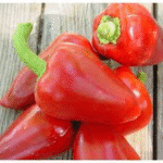 Pepper Pimento L