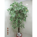Artificial Plant Ficus Variegated Green White�