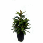 Artificial Dracaena Bush Plant 2