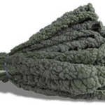 Tuscan Kale