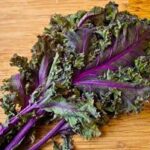 Red Russian Kale