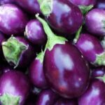 Brinjal F1 Sona Babu -Indian Vegitables