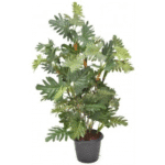 Artificial Philo Split Plant 2