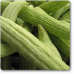 Selection Long Melon Kakri�