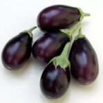 Brinjal F1 Crypton Kranti -Indian Vegitables