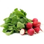 Radish red round