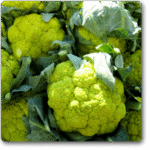 Cauliflower Verde Di Macerata