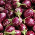 Brinjal MK - 10 -Indian Vegitables